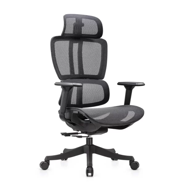 Silla Directiva MonteNegro