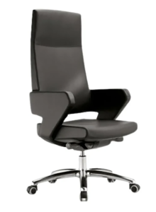 SILLA SHINY