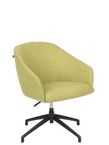 Bratti | Edge Spider